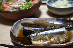 また草食猫