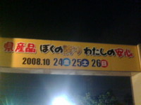 2008年10月24日