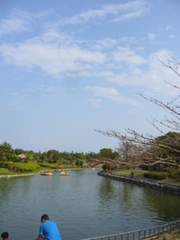 ＊公園DAY＊ 2008/03/29 12:33:31