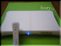 Wii Fit* 2008/07/24 16:40:06