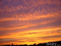 夕暮れ* 2008/07/30 02:33:29