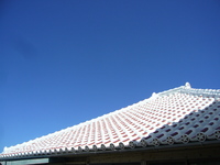 おじぃー家* 2008/08/10 00:38:57