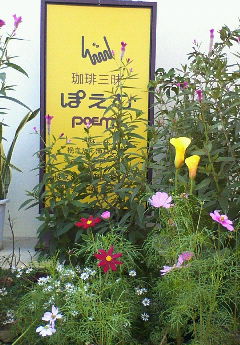 今日の花一輪☆