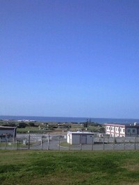 お天気がいいので♪ 2008/03/02 17:12:05