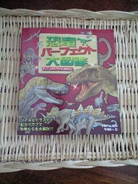 なんで！？ 2008/03/18 23:43:46