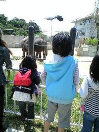 春休み♪ 2008/04/02 13:12:33