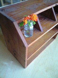 掘り出し物☆ 2008/05/31 18:14:50