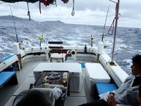 沖縄　フィッシングボートゆりかでトローリング