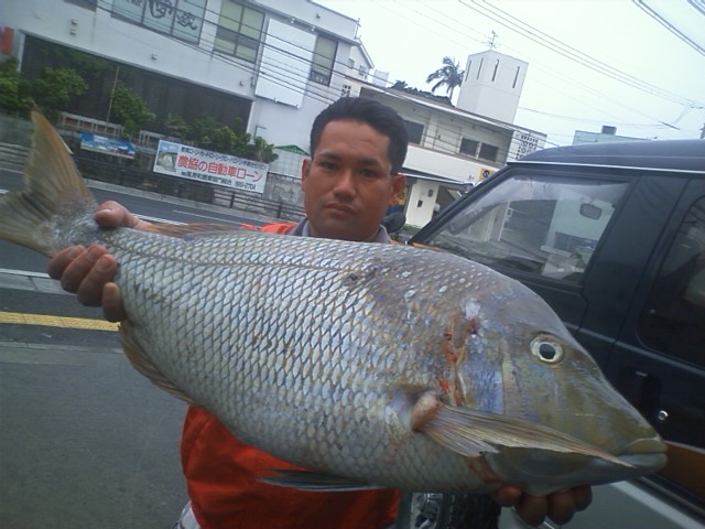 久々ちょい釣り
