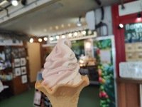 アセロラソフトクリーム【おんなの駅】かわいい紅白のソフトクリーム