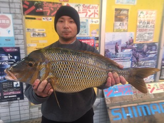 明けましておめでとうございます! 明けましておめでとうございます!