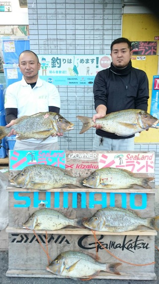 明けましておめでとうございます! 明けましておめでとうございます!