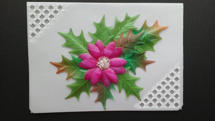 クリスマスシリーズ2 Holy leaf & Poinsettia クリスマスシリーズ2 Holy leaf & Poinsettia