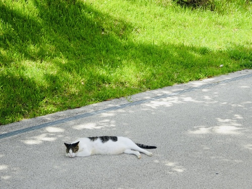 生のこと・死のこと 生のこと・死のこと