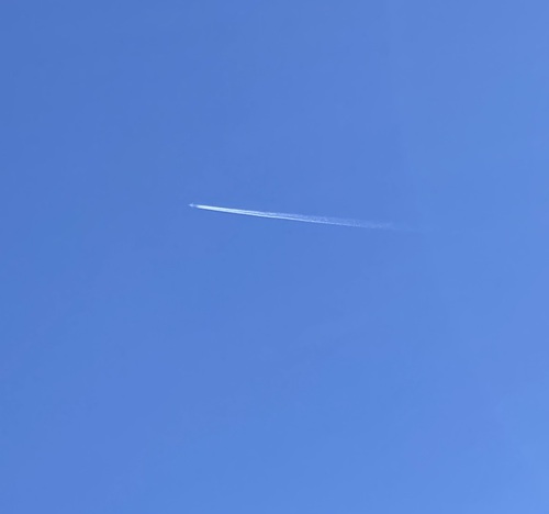 もしも死にたくなったら もしも死にたくなったら