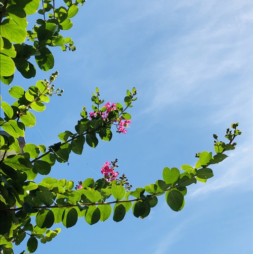 夏の家族旅行でみたもの 夏の家族旅行でみたもの