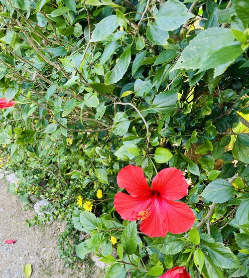 私の悩みごと 私の悩みごと