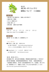 #282 鶏小屋4日目