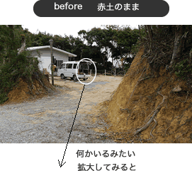 #059 管理小屋の整備