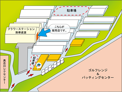 フラワーステーション熱帯資源ブログ開設