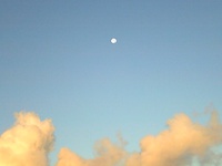 朝の月 2008/08/19 06:28:42
