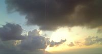 オレンジ！ 2008/08/01 19:10:48