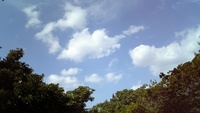 散歩 2008/09/03 15:38:33