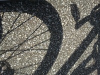 FRESHMAN 2012/03/05 21:33:33