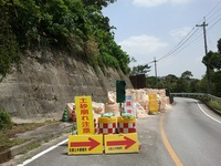 退院記念はやっぱりヨナでしょう 2012/04/01 21:07:19