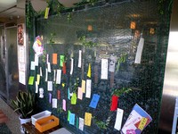 願うのは自由・・ 2008/07/07 22:33:09