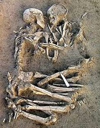 5000年前も5000年後も・・・ 2008/08/16 10:45:55