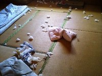 大惨事…☆彡