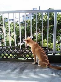 びりびりくんに会いに行きたいね♪