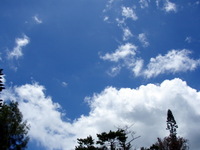 お天気 2008/06/11 14:34:23