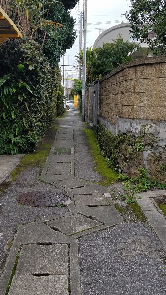 すーじ路散歩(*^-^*) すーじ路散歩(*^-^*)