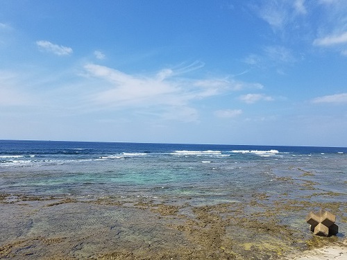 今日は「浜下り」だね!(^^)! 今日は「浜下り」だね!(^^)!