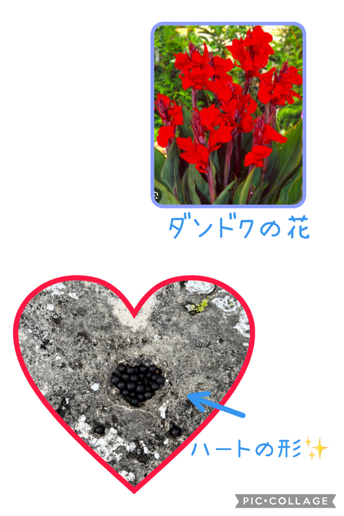 今日のふたば組さん 今日のふたば組さん