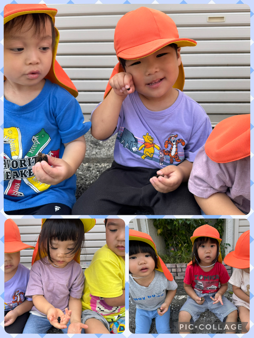 今日のふたば組さん 今日のふたば組さん