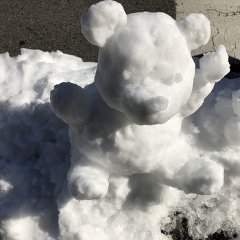 雪を見に行って来ました(*≧∀≦*) 雪を見に行って来ました(*≧∀≦*)