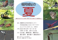 三線弾いて、大人の夏休み! 三線弾いて、大人の夏休み!