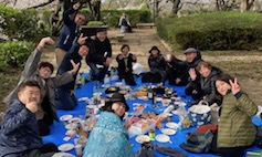 がちまやぁ三線サークル、桜の下で飲んで、歌って、踊って・・ がちまやぁ三線サークル、桜の下で飲んで、歌って、踊って・・