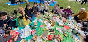 がちまやぁ三線サークル、桜の下で飲んで、歌って、踊って・・ がちまやぁ三線サークル、桜の下で飲んで、歌って、踊って・・