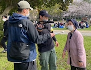 がちまやぁ三線サークル、桜の下で飲んで、歌って、踊って・・ がちまやぁ三線サークル、桜の下で飲んで、歌って、踊って・・