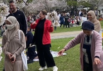がちまやぁ三線サークル、桜の下で飲んで、歌って、踊って・・ がちまやぁ三線サークル、桜の下で飲んで、歌って、踊って・・