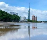 三線は、平和が似合う音色ですね。 三線は、平和が似合う音色ですね。