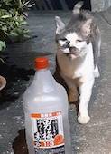 7月は、どこ行こ。どこ遊ぼ。 7月は、どこ行こ。どこ遊ぼ。