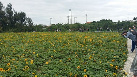 3月8日のはるこん♪ 3月8日のはるこん♪