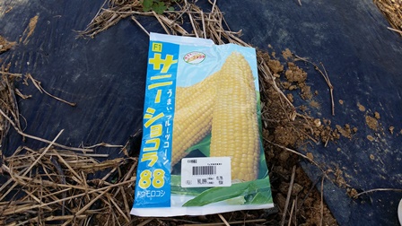 12月14日のはるこん♪ 12月14日のはるこん♪