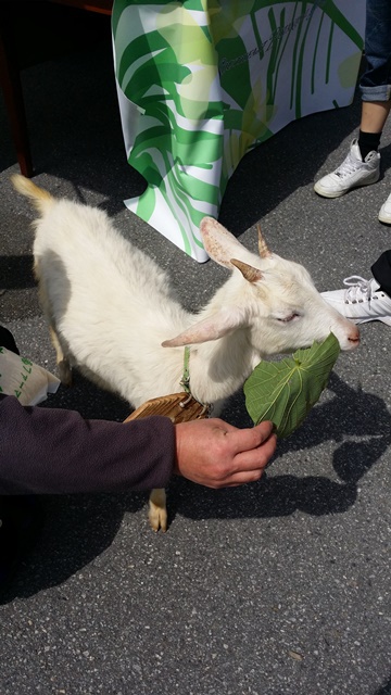 3月29日のはるこん♪ 3月29日のはるこん♪