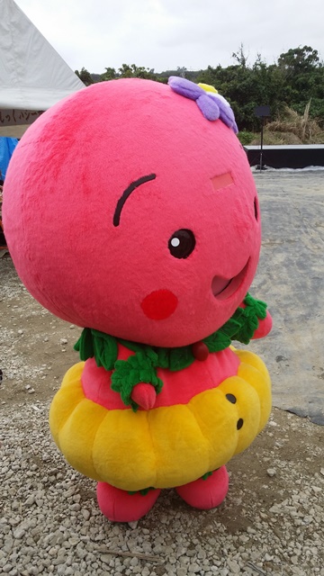 3月8日のはるこん♪ 3月8日のはるこん♪
